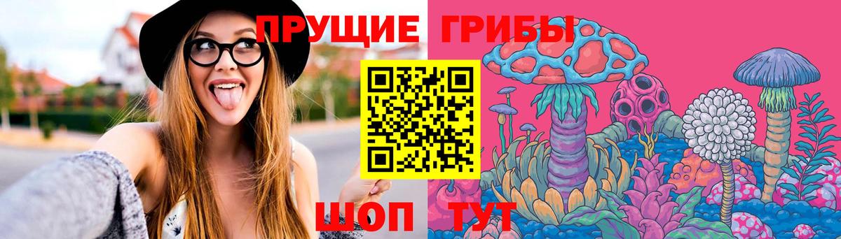 Псилоцибиновые грибы Cubensis  Вход с VPN  Россия  Псилоцибиновые грибы ЛСД 